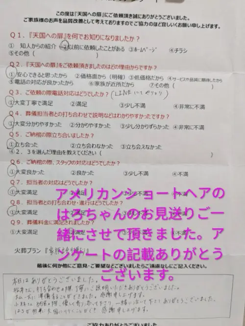 アメリカンショートヘアのはろちゃんのお見送りご一緒にさせて頂きました。
