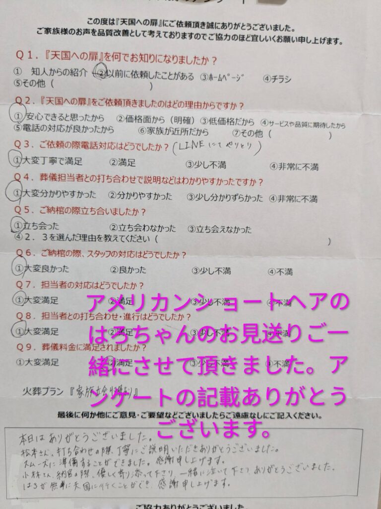 アメリカンショートヘアのはろちゃんのお見送りご一緒にさせて頂きました。